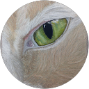 Kate Madsen profile picture